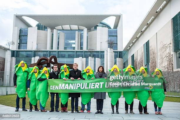 Harald Ebner, Simone Peter, Party co-leader of the German Greens Party and German Greens Party co-faction leader Katrin Goering-Eckardt deliver a...