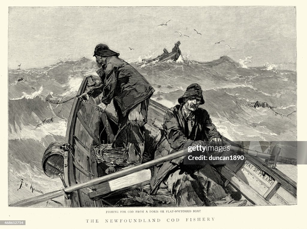 Newfoundland Cod Fishery - Fishing from a doris boat