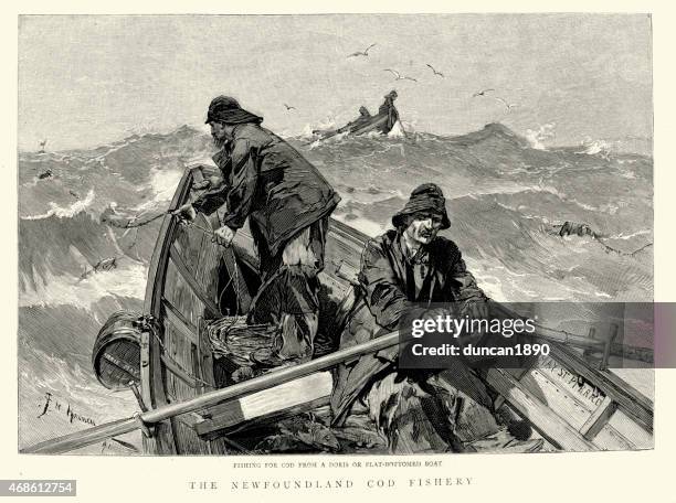 Cod Fish Labrador Fishing Industry In Newfoundland And Labrador Photos and Premium High ...