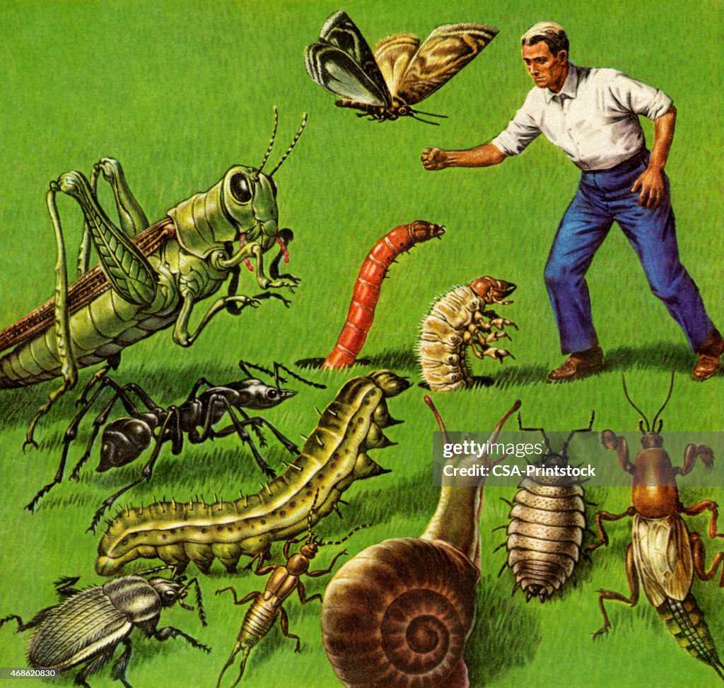 Man and Giants Bugs