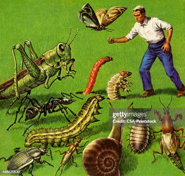 Man Van Insect 1,595 Invasive Insect Stock Photos, High-Res Pictures, and Images ...