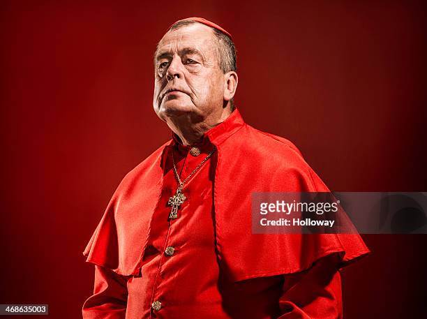 portrait_02 kardinal - cardinal clergy stock-fotos und bilder