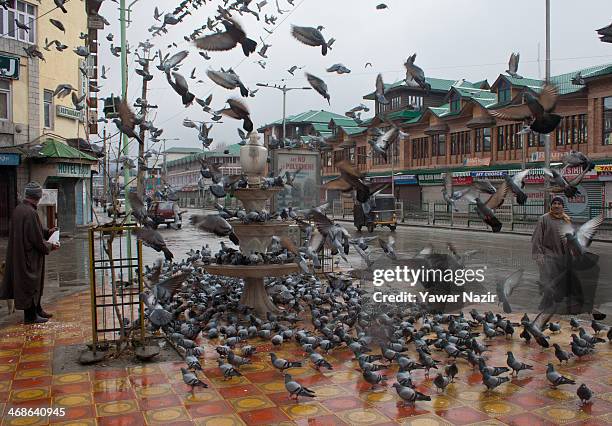 Man feeds pigeons on a road side amid restrictions and undeclared curfew on the death anniversary of Maqbool Bhat on February 11, 2014 in Srinagar,...