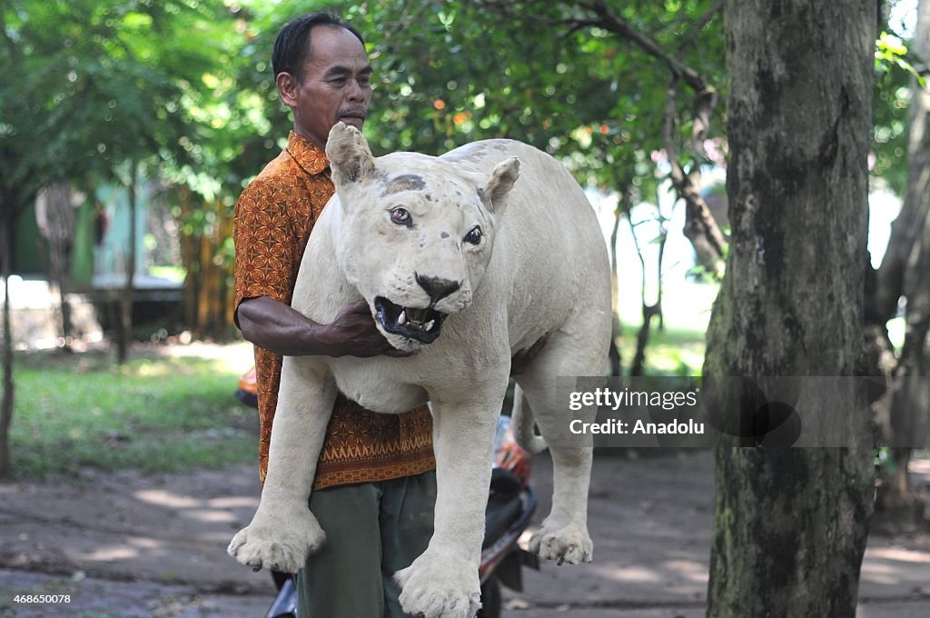 Jurug Zoo in Indonesia