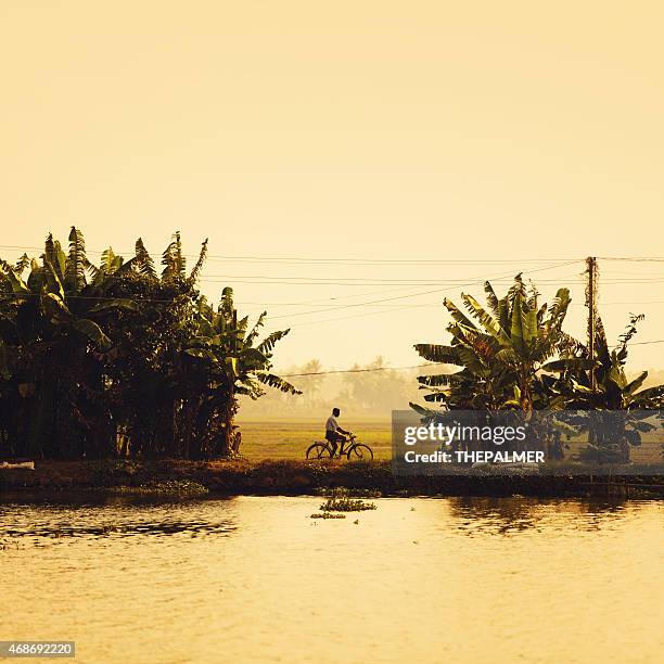 backwaters of kerala - kerala stock pictures, royalty-free photos & images