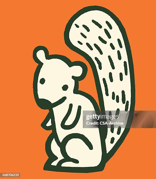 squirrel - squirrels stock illustrations