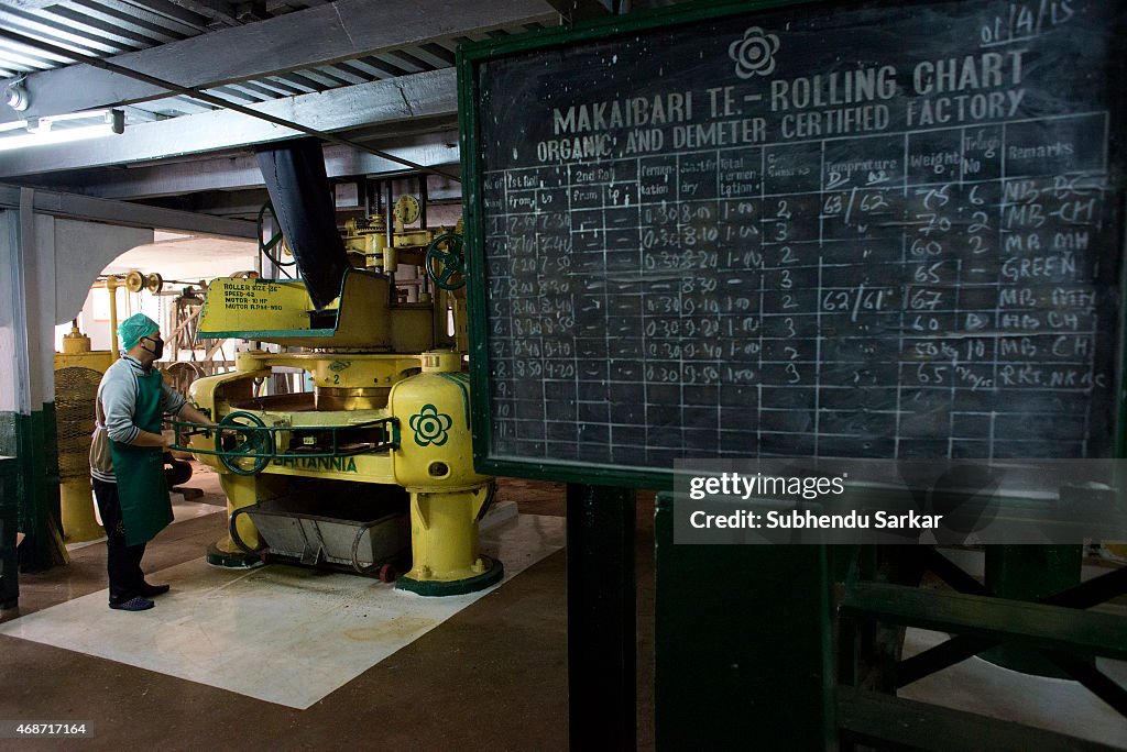 Makaibari Tea Estates