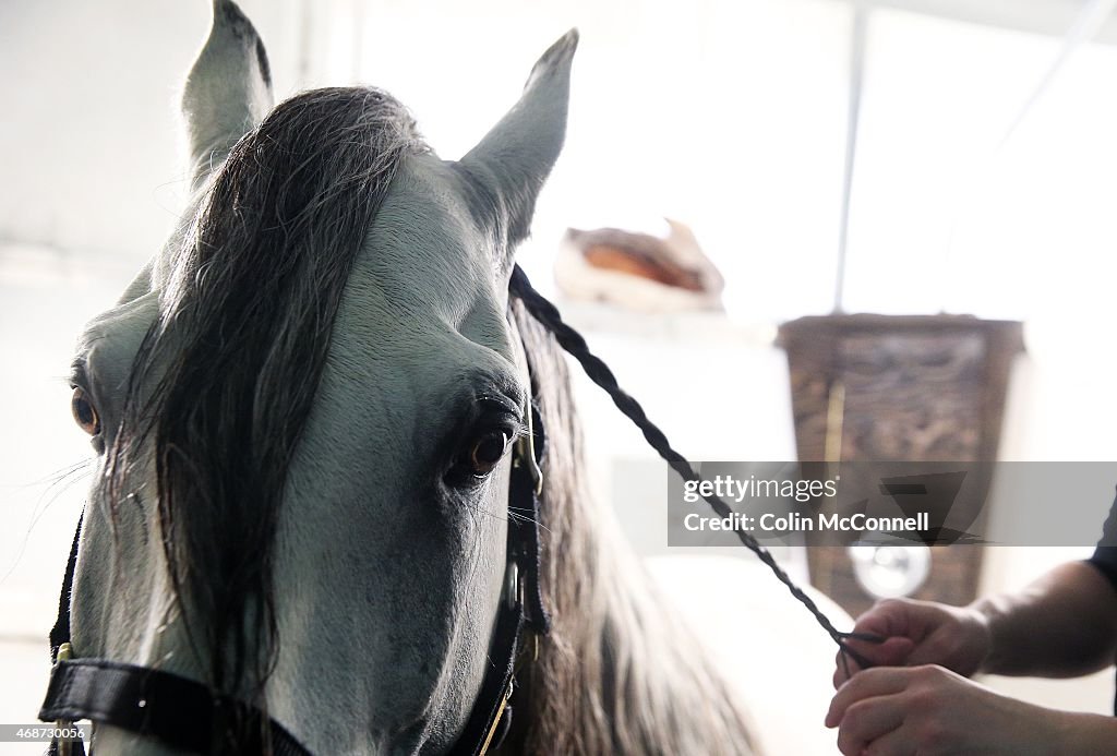 Odysseo: The Equestrian Spectacular by Cavalia