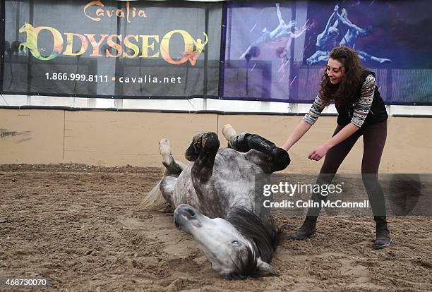 Amanda Orlowski does tricks with Diamante a 7 yr old Gelding... A behind the scenes feature on Odysseo,the new version of the horse-circus spectacle...