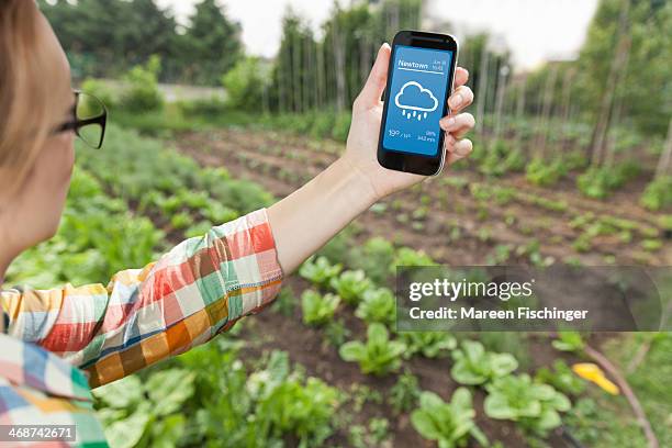 female gardener holding weather app on smart phone - meteorology stockfoto's en -beelden