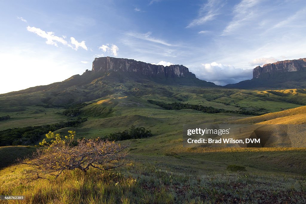 Kukenan tepui and Roraima Tepuis, Venezuela