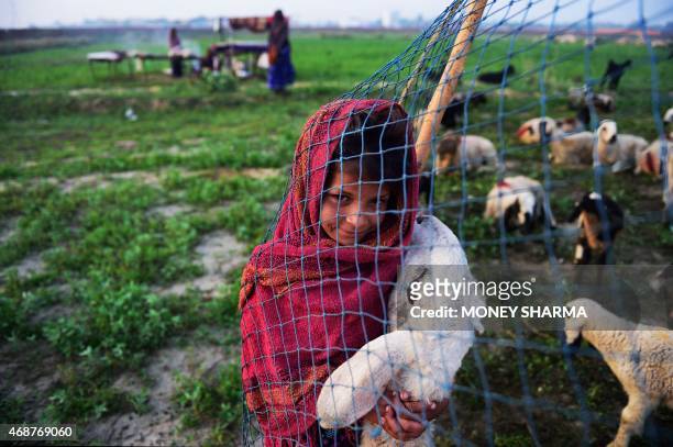 In this photograph taken on March 25 the daughter of Indian nomadic shepherds Mansa holds her favourite sheep Bhuri at her familiy's camp in Sikri in...