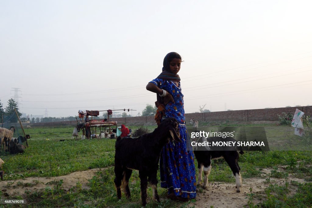 INDIA-SOCIETY-SHEPHERD