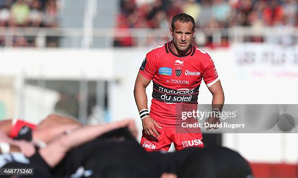 Frederic Michalak of Toulon looks on during the European Rugby Champions Cup quarter final match between RC Toulon and Wasps at the Felix Mayol...