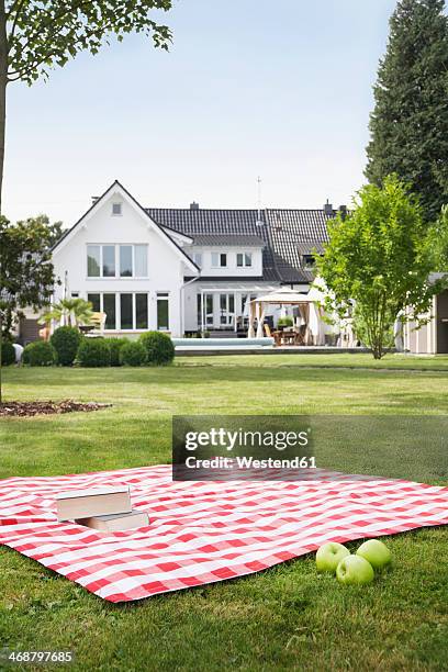 germany, cologne, booksand apples on blanket in garden - picnic blanket stockfoto's en -beelden