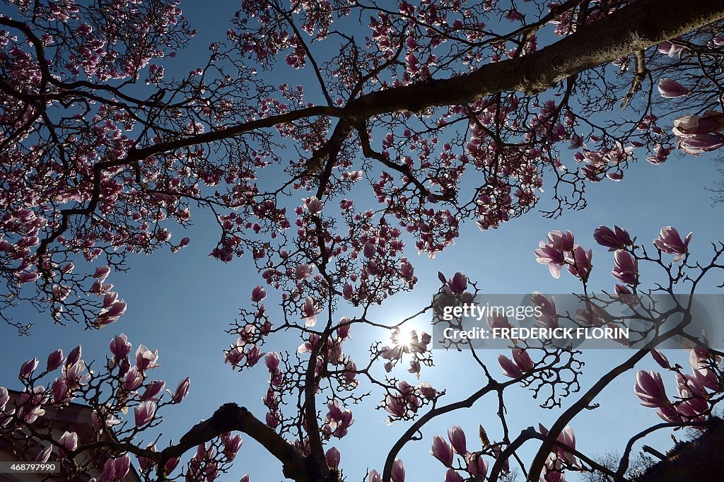 FRANCE-WEATHER-SPRING-FEATURE