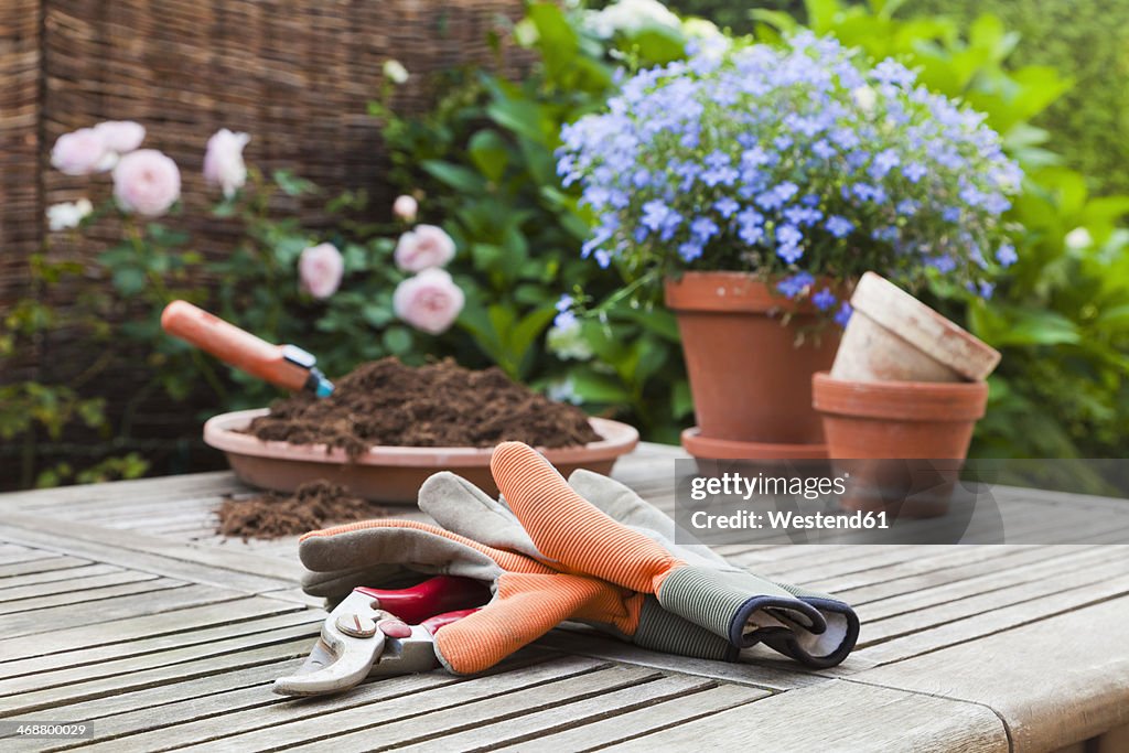 Germany, Stuttgart, Gardening equipment on wooden table