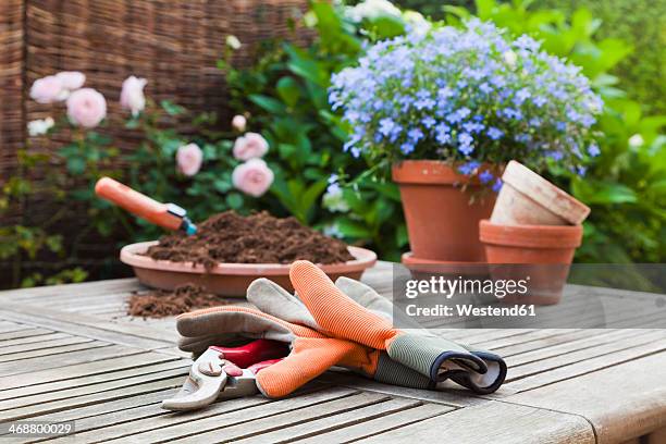 germany, stuttgart, gardening equipment on wooden table - tuinhandschoen stockfoto's en -beelden