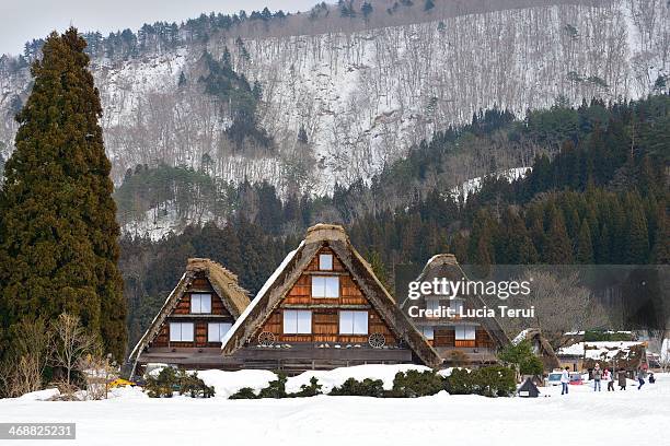 historic village of shirakawago - shirakawa go stock pictures, royalty-free photos & images