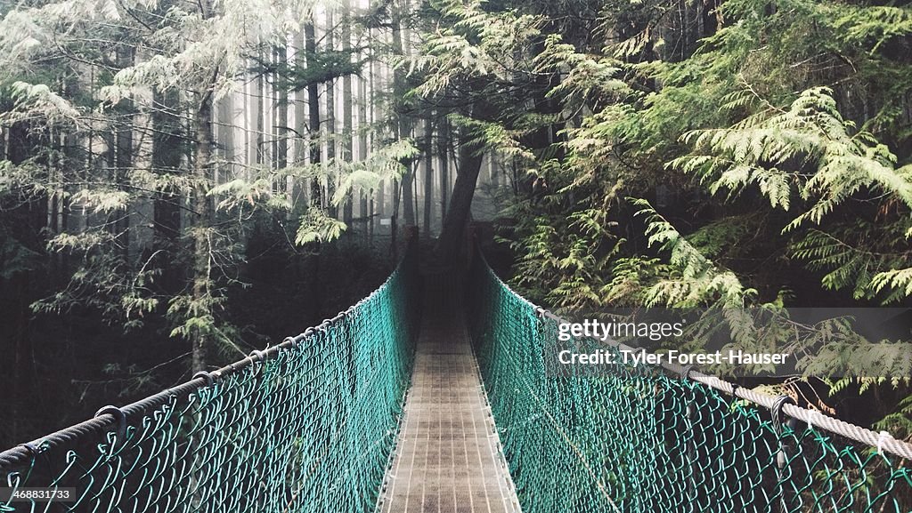Suspension Bridge in Foggy Forest