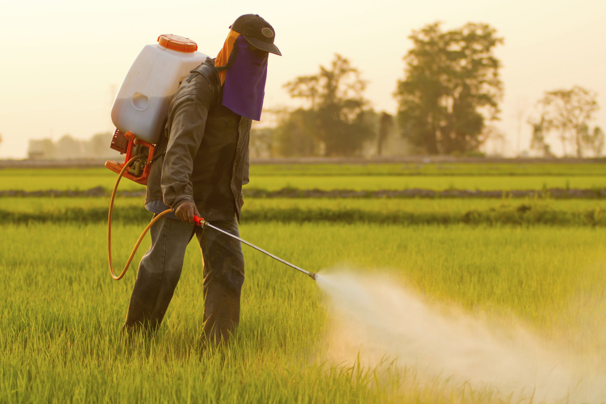 herbicide selection