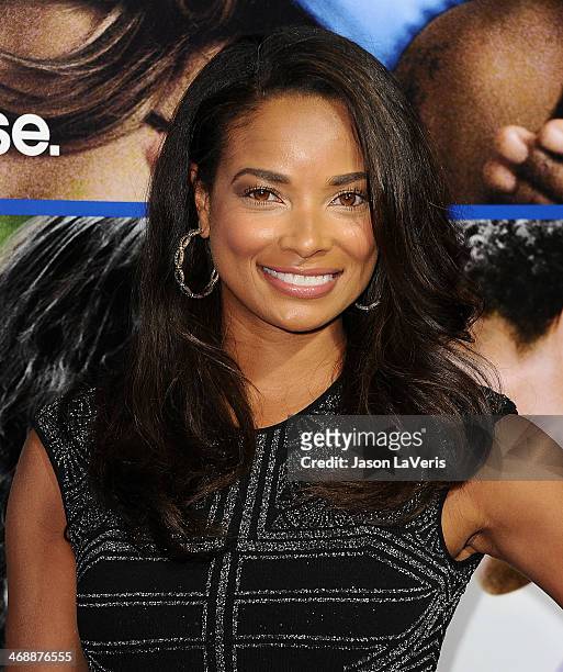 Actress Rochelle Aytes attends the Pan African Film & Arts Festival premiere of "About Last Night" at ArcLight Cinemas Cinerama Dome on February 11,...