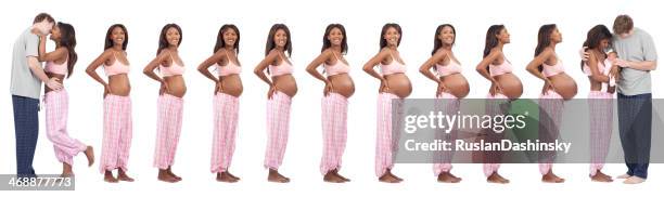 time period of love, 9 month and birth. - animal embryo stock pictures, royalty-free photos & images
