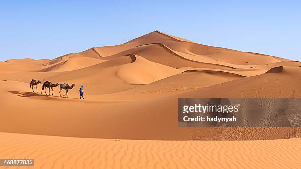 young tuareg with camel on western sahara desert, africa 36mpix - sand dune stock pictures, royalty-free photos & images
