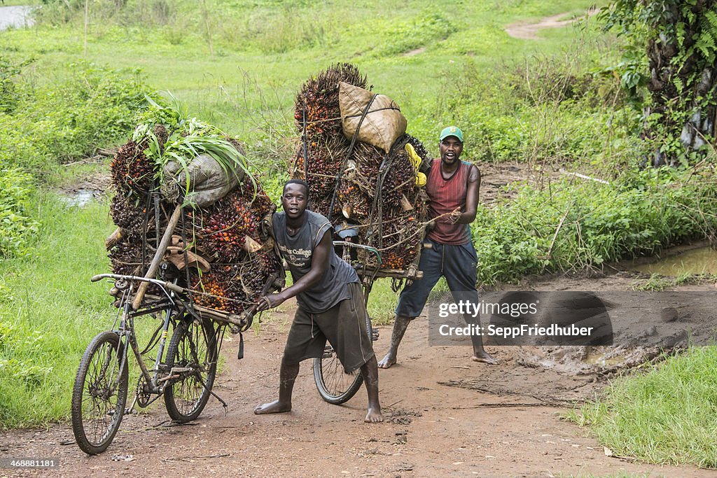 Palm noz-Transporte no Burundi