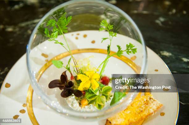 For the Salad Course, guests will enjoy a petite mixed radish and baby carrots, served on a bed of merlot lettuce with a red wine vinaigrette at the...