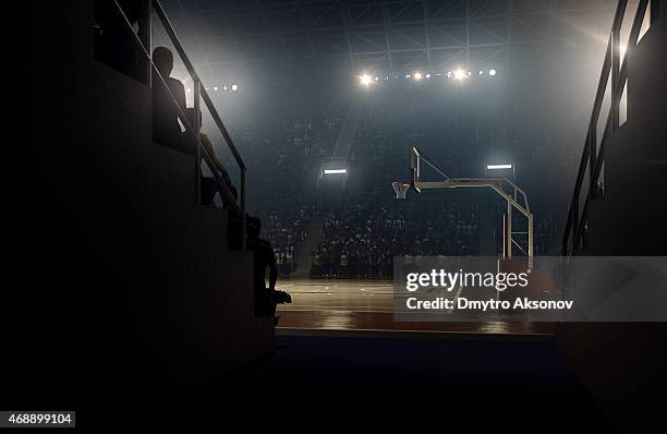 view to basketball stadium from players zone - basketball stadium stockfoto's en -beelden