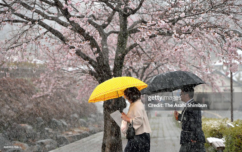 Cold-Air System Covering Japan Causes Snowfall