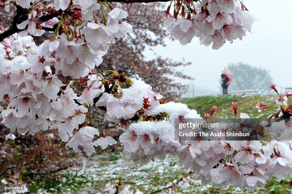 Cold-Air System Covering Japan Causes Snowfall