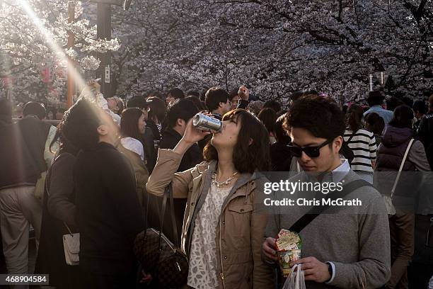 People take part in ' Hanami' or Flower-viewing parties under cherry blossom trees in full bloom in Nakameguro, on March 28, 2015 in Tokyo, Japan....