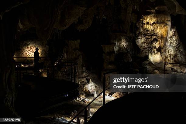 Man looks at the full-scale reproduction of frescos found at the cave of Pont-D'Arc also known as the Chauvet cave, on April 8, 2015 in Vallon Pont...
