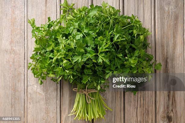 parsley - prezzemolo foto e immagini stock