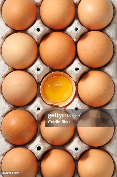 eggs - egg carton stock pictures, royalty-free photos & images