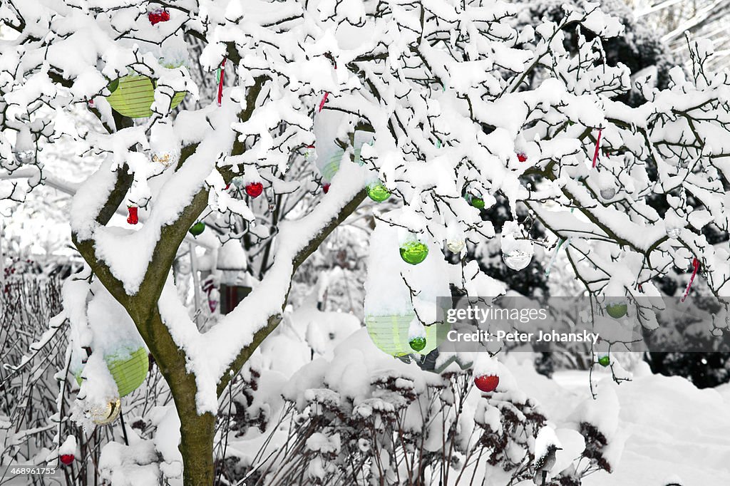 Tree ornaments in the snow