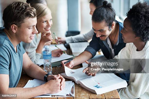 cramming before an exam - test preparation stock pictures, royalty-free photos & images