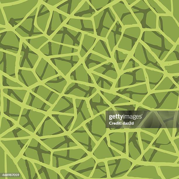 Line Work Pattern Irregular 586 Irregular Line Stock Photos, High-Res Pictures, and Images - Getty ...