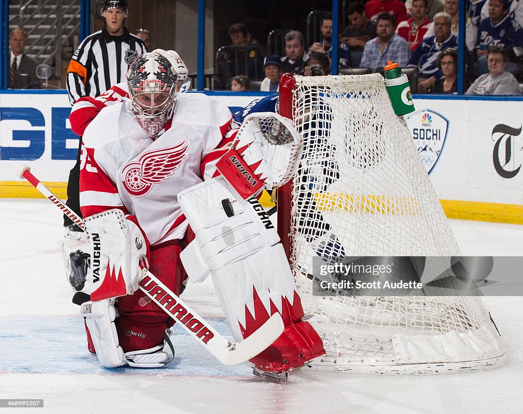 Detroit Red Wings v Tampa Bay Lightning