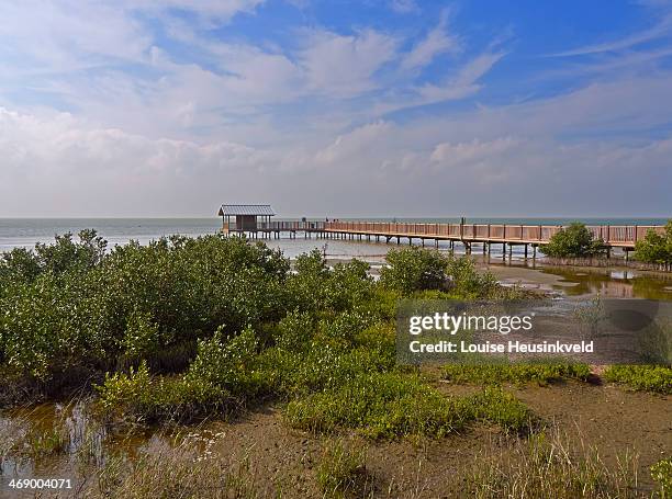 jetty and bird watching hide on south padre island - ilha south padre imagens e fotografias de stock