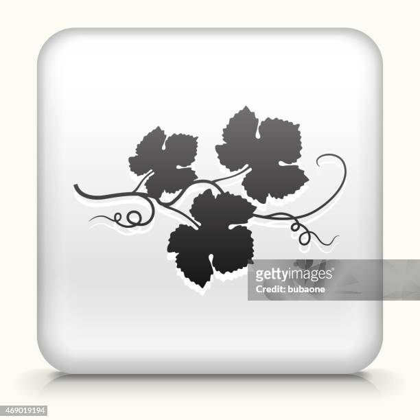 ilustrações, clipart, desenhos animados e ícones de botão de ícone de vetor royalty free com folhas de uva ícone - folha de parreira