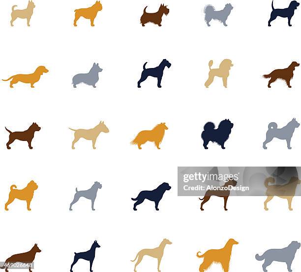 ilustraciones, imágenes clip art, dibujos animados e iconos de stock de icono conjunto de perros - basset hound