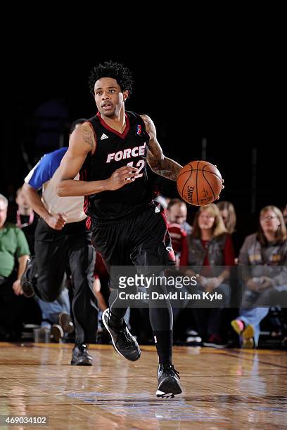 Larry Drew II of the Sioux Falls Skyforce handles the ball against the Canton Charge at the Canton Memorial Civic Center on April 8, 2015 in Canton,...