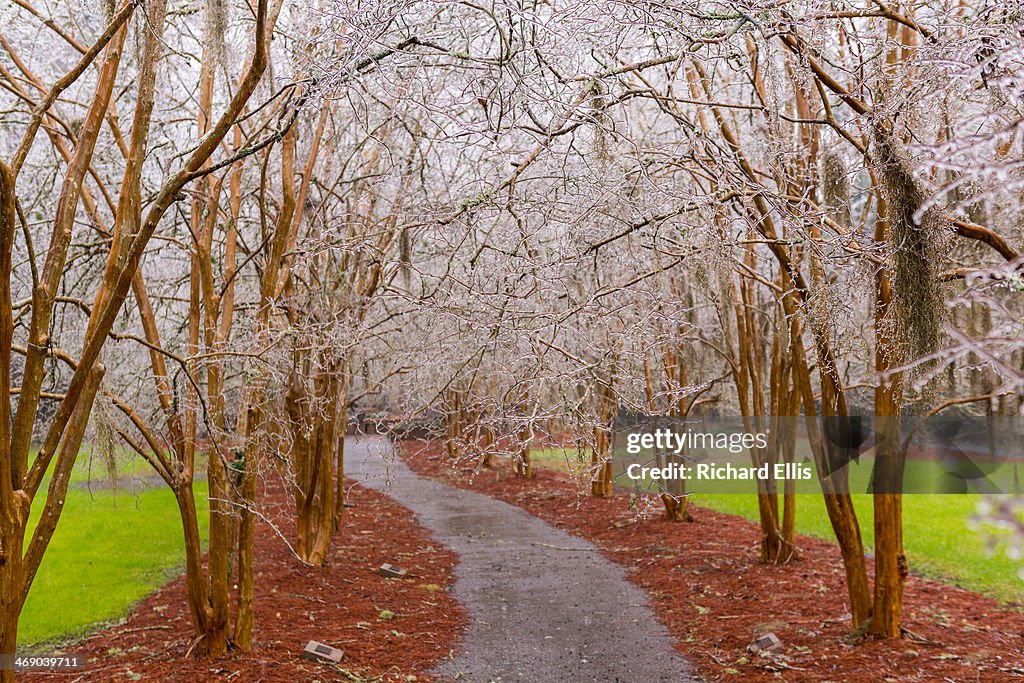 Winter Storm Affects Large Swath Of Southern States