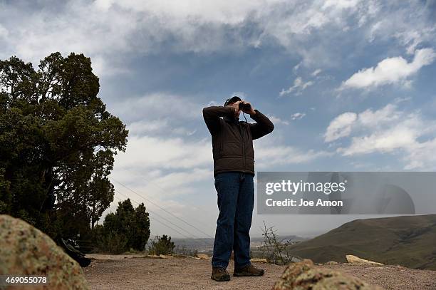 Roger Rouch 20 Golden Hawk Bird Stock Photos, High-Res Pictures, and Images - Getty ...