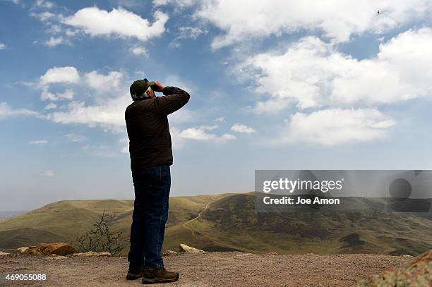 Roger Rouch 20 Golden Hawk Bird Stock Photos, High-Res Pictures, and Images - Getty ...