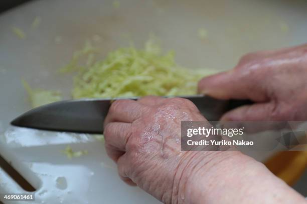 Masa Narita, who just turned 100 years old on February 7 cuts a cabbage as she prepares a self-made lunch inside her kitchen at her house on February...