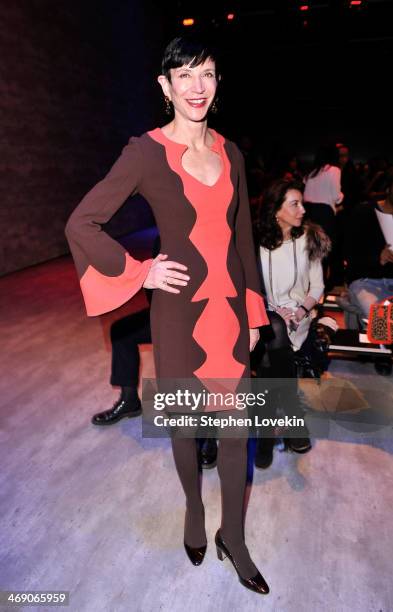 Amy Fine Collins attends the B. Michael America fashion show during Mercedes-Benz Fashion Week Fall 2014 at The Pavilion at Lincoln Center on...